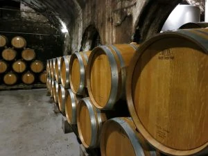 winery oak barrels