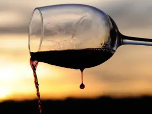 long stemmed wine glass