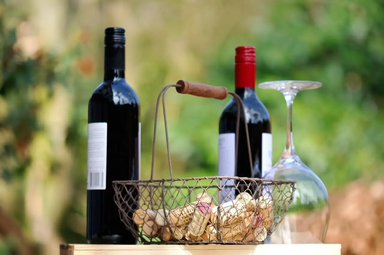 pinot noir & merlot wine comparison - featured image