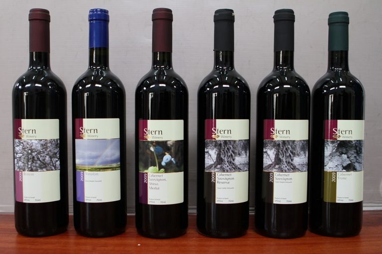 Franc vs Sauvignon And The Main Differences Between