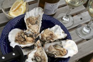 Oysters and wine