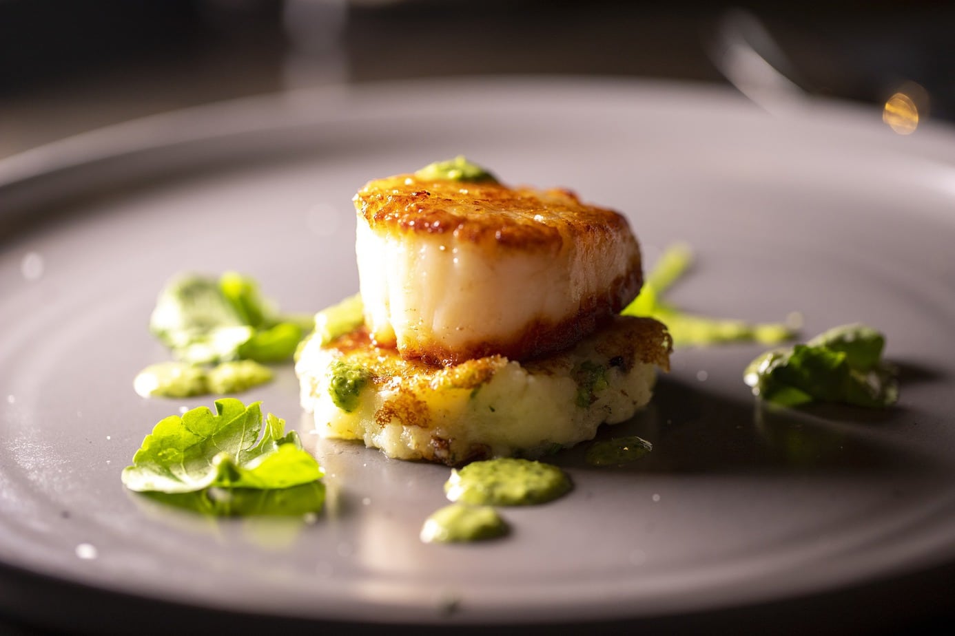 The Best Scallops Wine Pairing What Wines Do Experts Pair With A